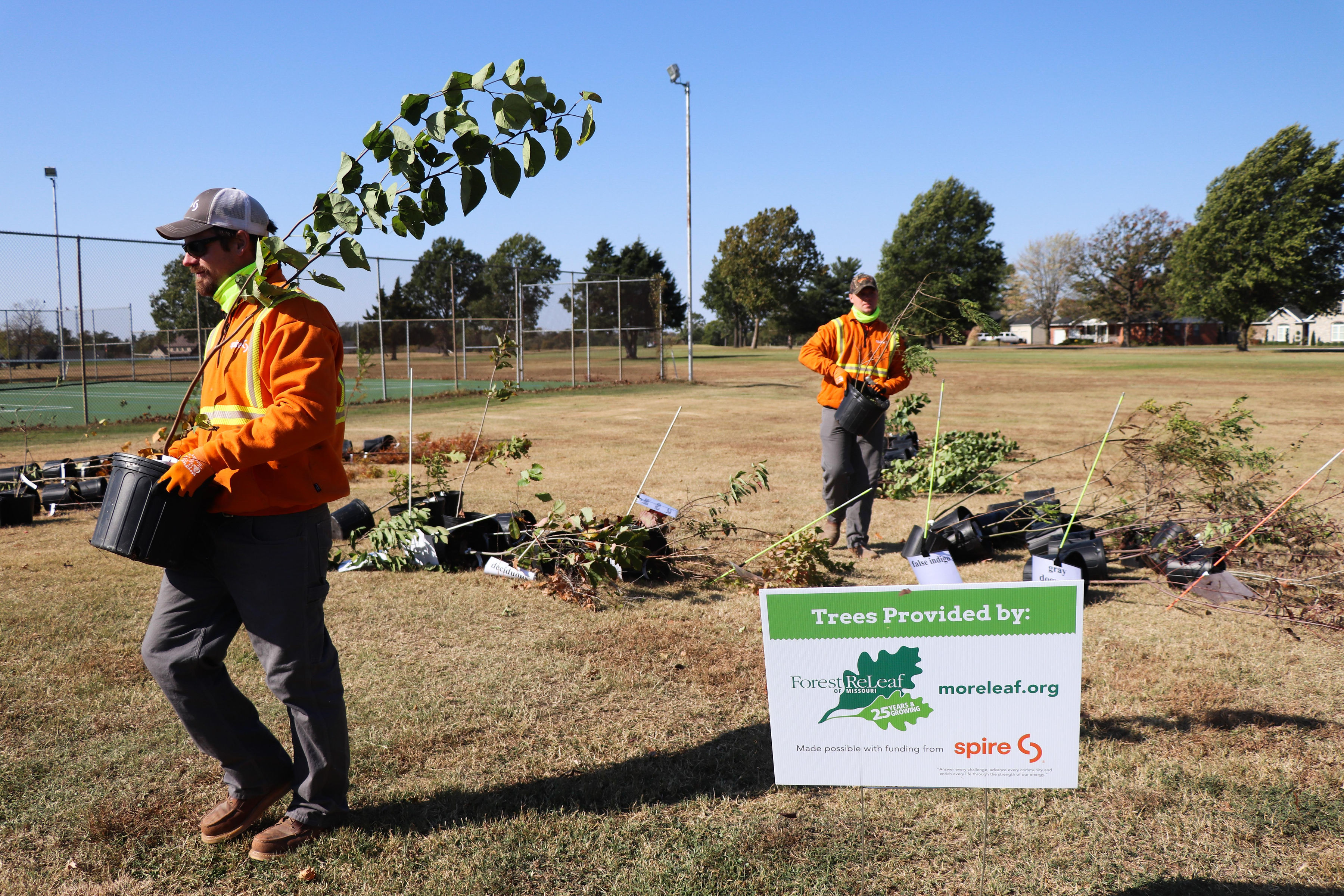 Image of: Spire volunteers planting trees