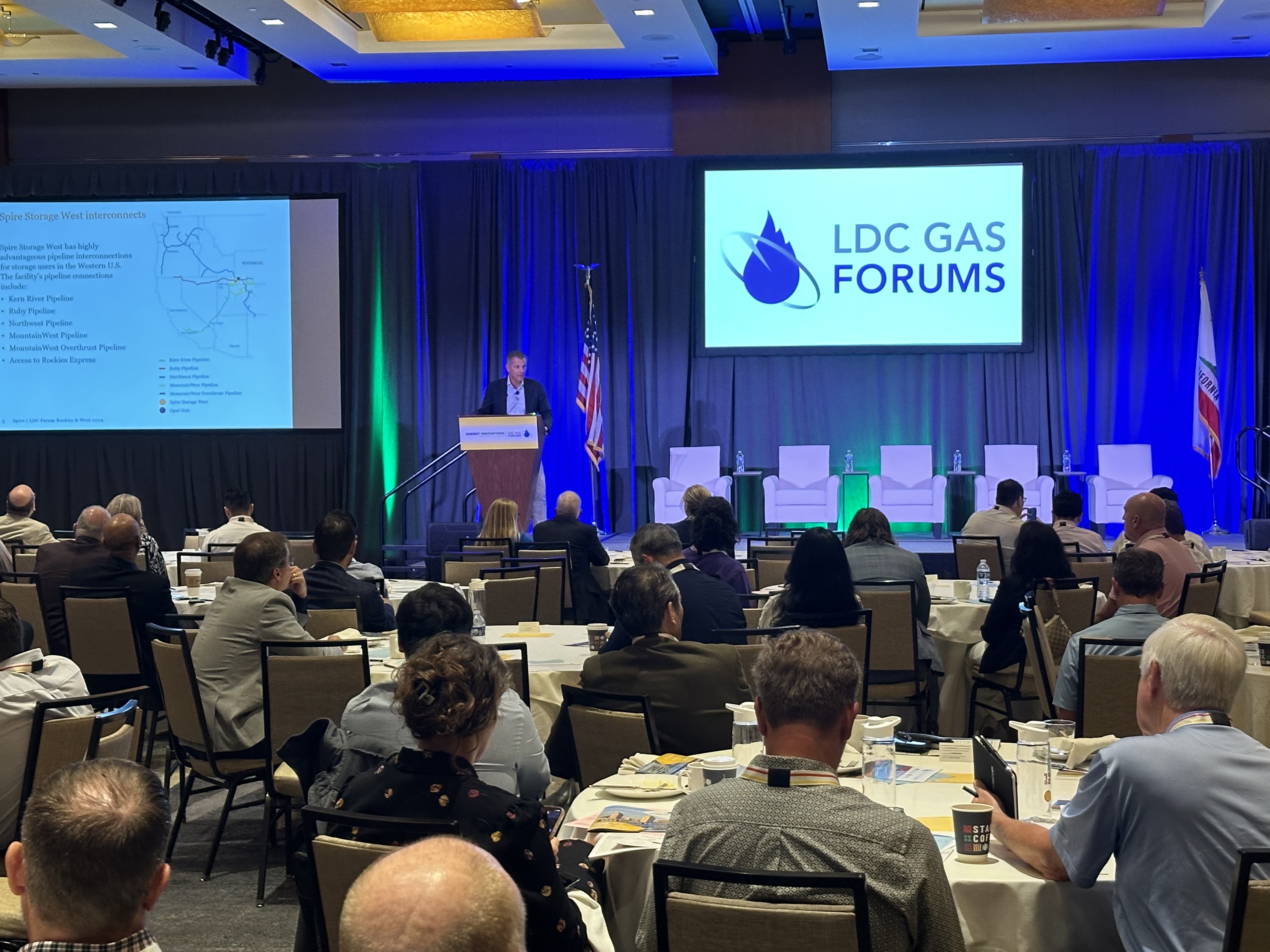 Image of presenter at LDC gas forum