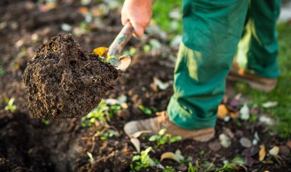 Digging in dirt