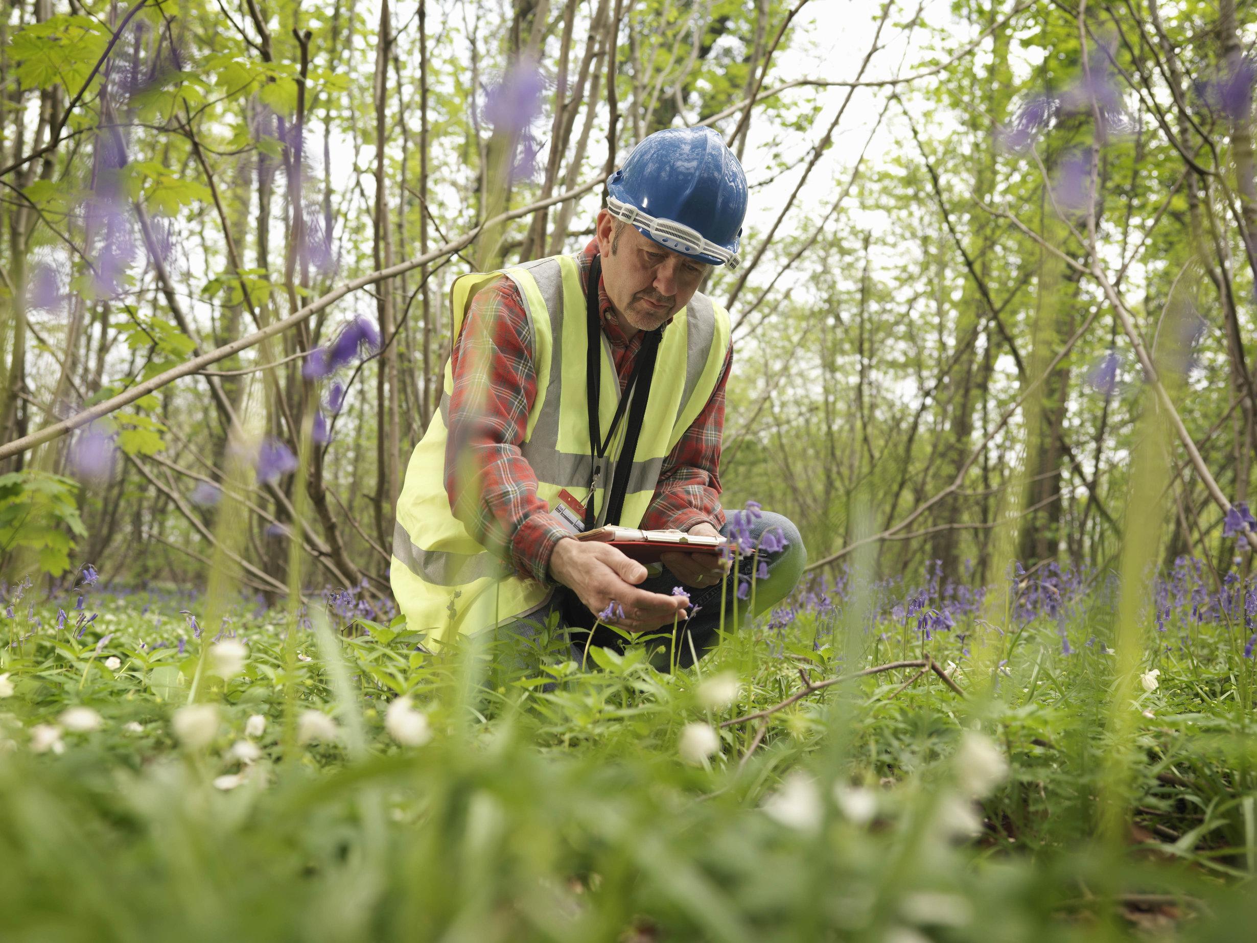 Doing environmental surveys